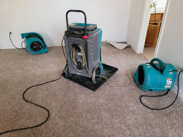 Best Local water damage restoration  in Brookside, AL