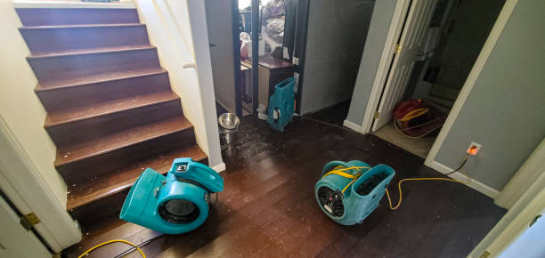 Best Carpet water damage restoration  in Brookside, AL