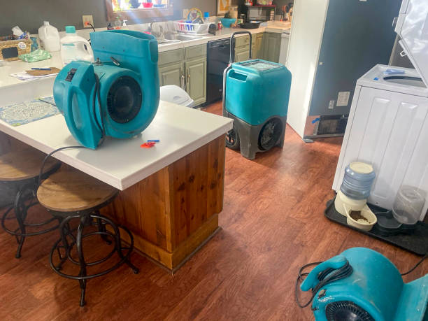 Best Ceiling water damage repair  in Brookside, AL