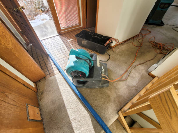 Best 24-hour water damage restoration  in Brookside, AL