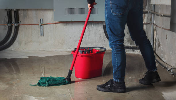 Local water damage restoration in Brookside, AL