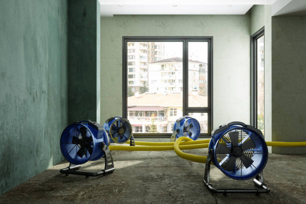 Professional Water damage restoration in Brookside, AL